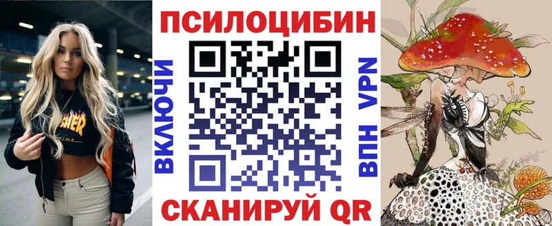 купить цена Катайск Псилоцибиновые грибы Magic Shrooms